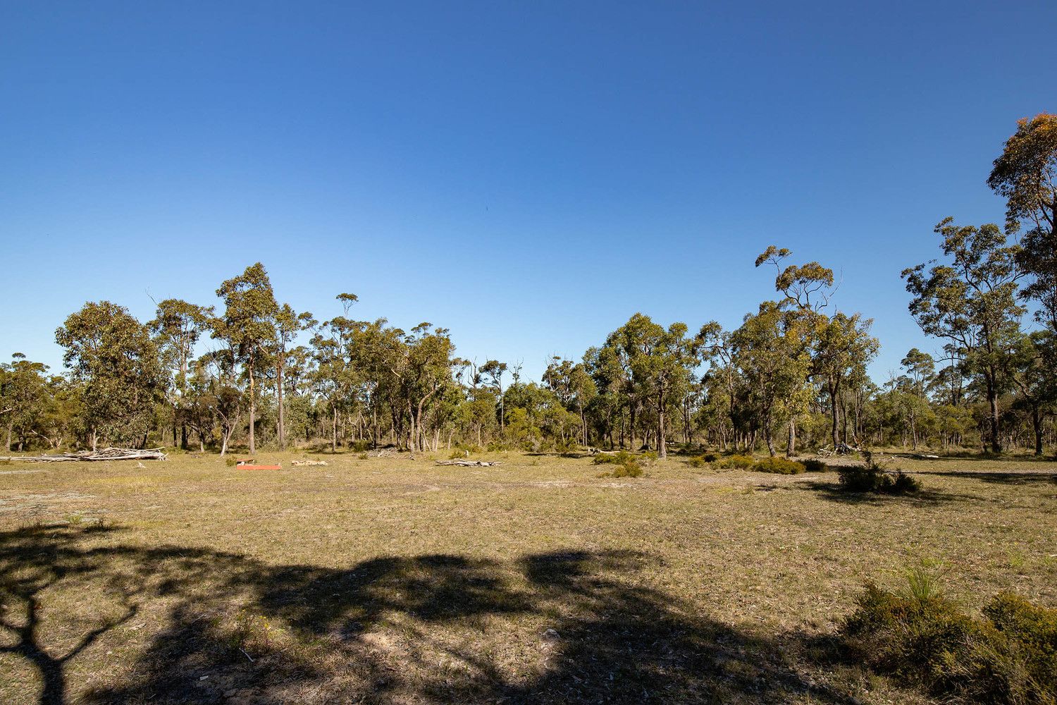 Lot/4 The Branch Lane, The Branch NSW 2425, Image 1