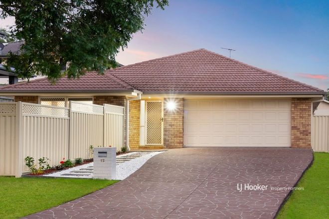 Picture of 12 Bala Place, CALAMVALE QLD 4116