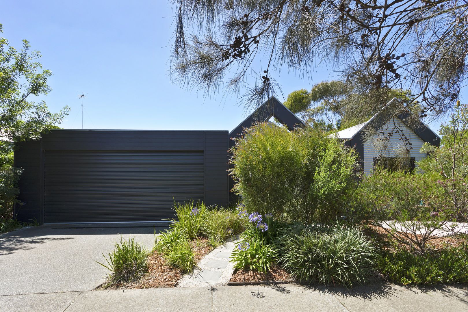 55 Pomora Avenue, Torquay VIC 3228, Image 2