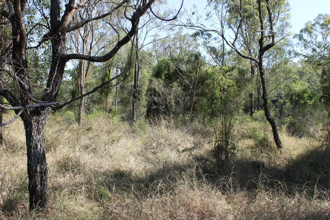 198-256 Blakes Road Rosewood 4340 - Image 5