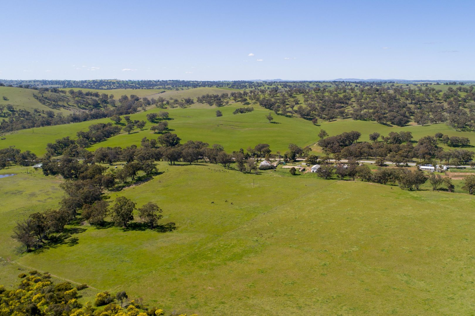 1133 White Park Road, Wirrabara SA 5481, Image 2