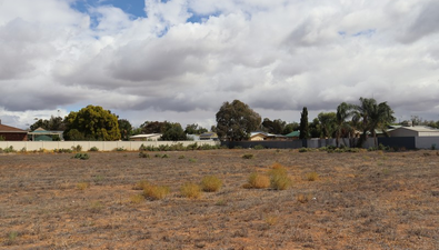 Picture of Lot 1 Renmark Avenue, RENMARK SA 5341