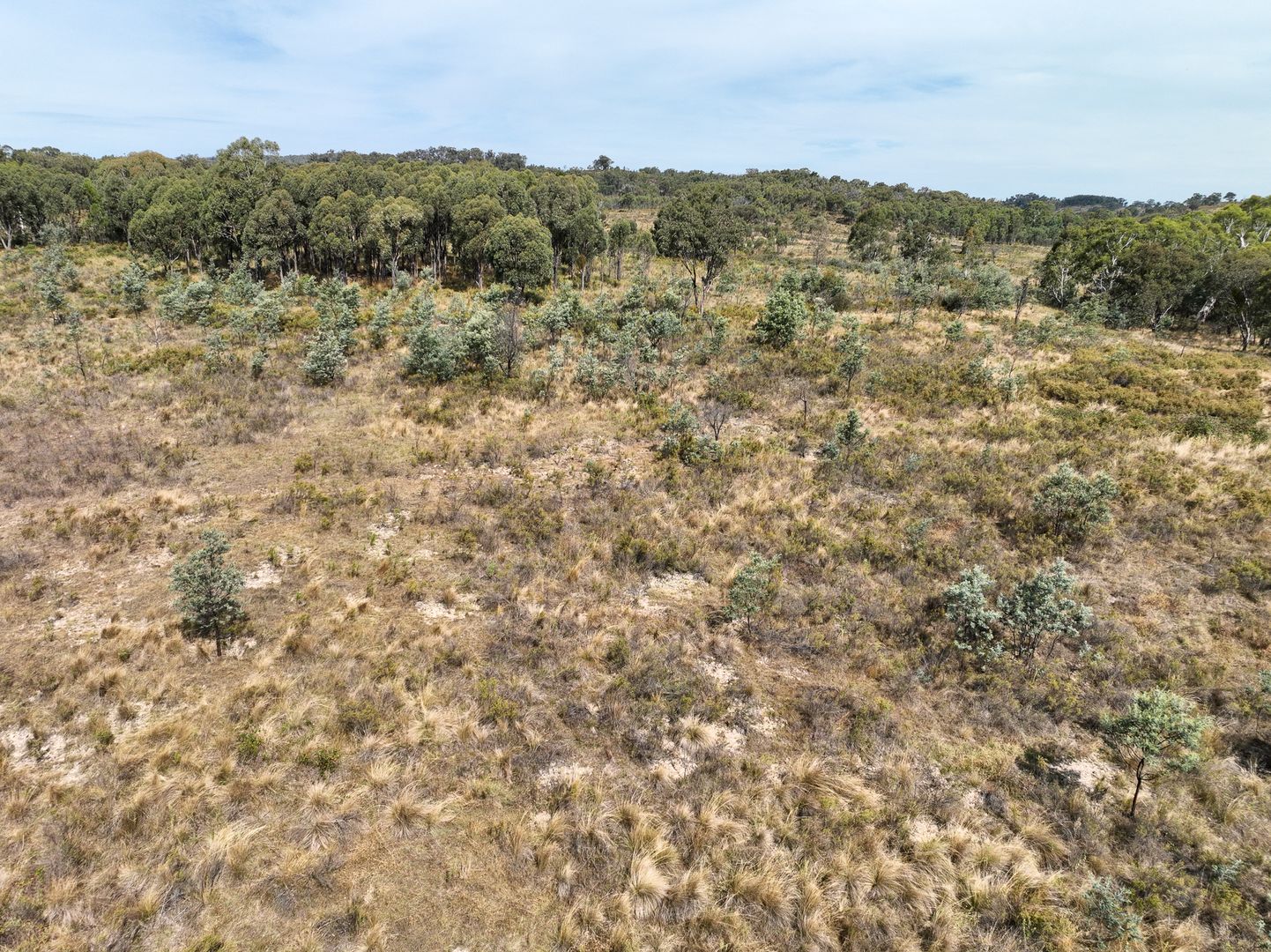 823A Kerrs Creek Road, Kerrs Creek NSW 2800 House for Sale 675,000