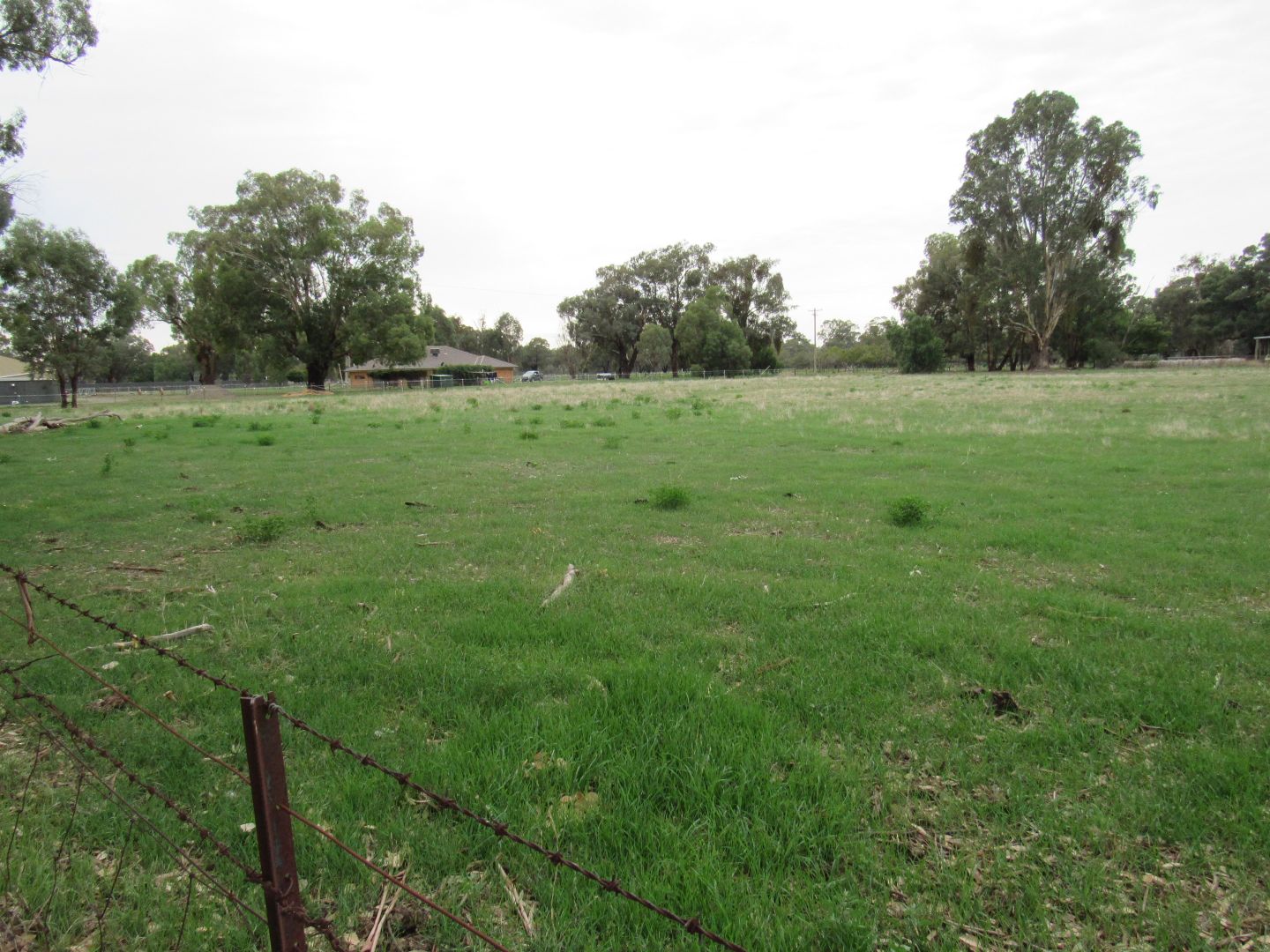 LOT 6 Brownrigg St, Morven NSW 2660, Image 1