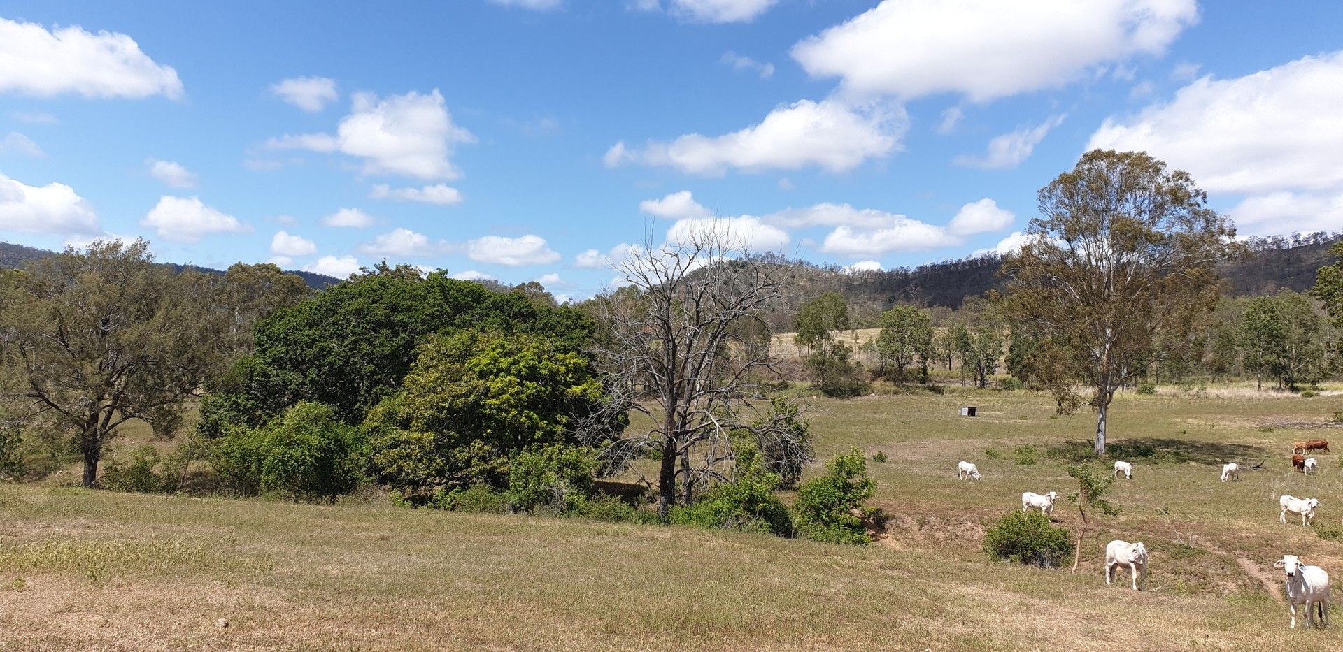 Lot Lot 1 MPH40560/3148 Gin Gin Mount Perry Road, Boolboonda QLD 4671, Image 0