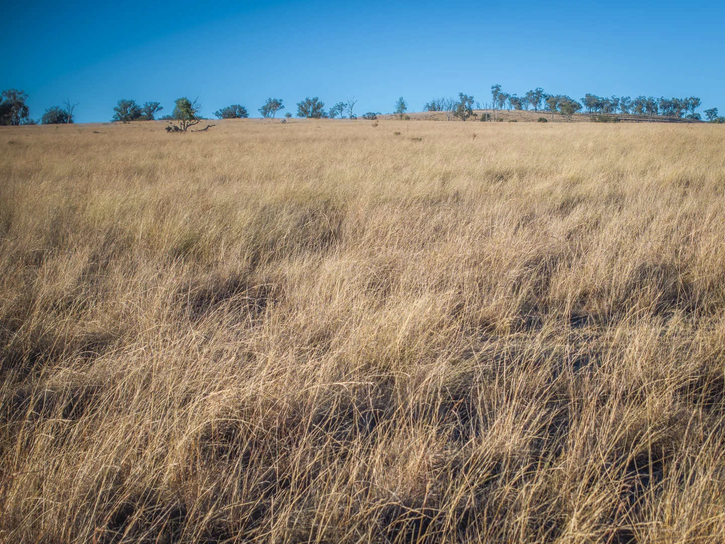 Additional image 26 of 3297 Stanthorpe-Inglewood Road, Inglewood QLD 4387