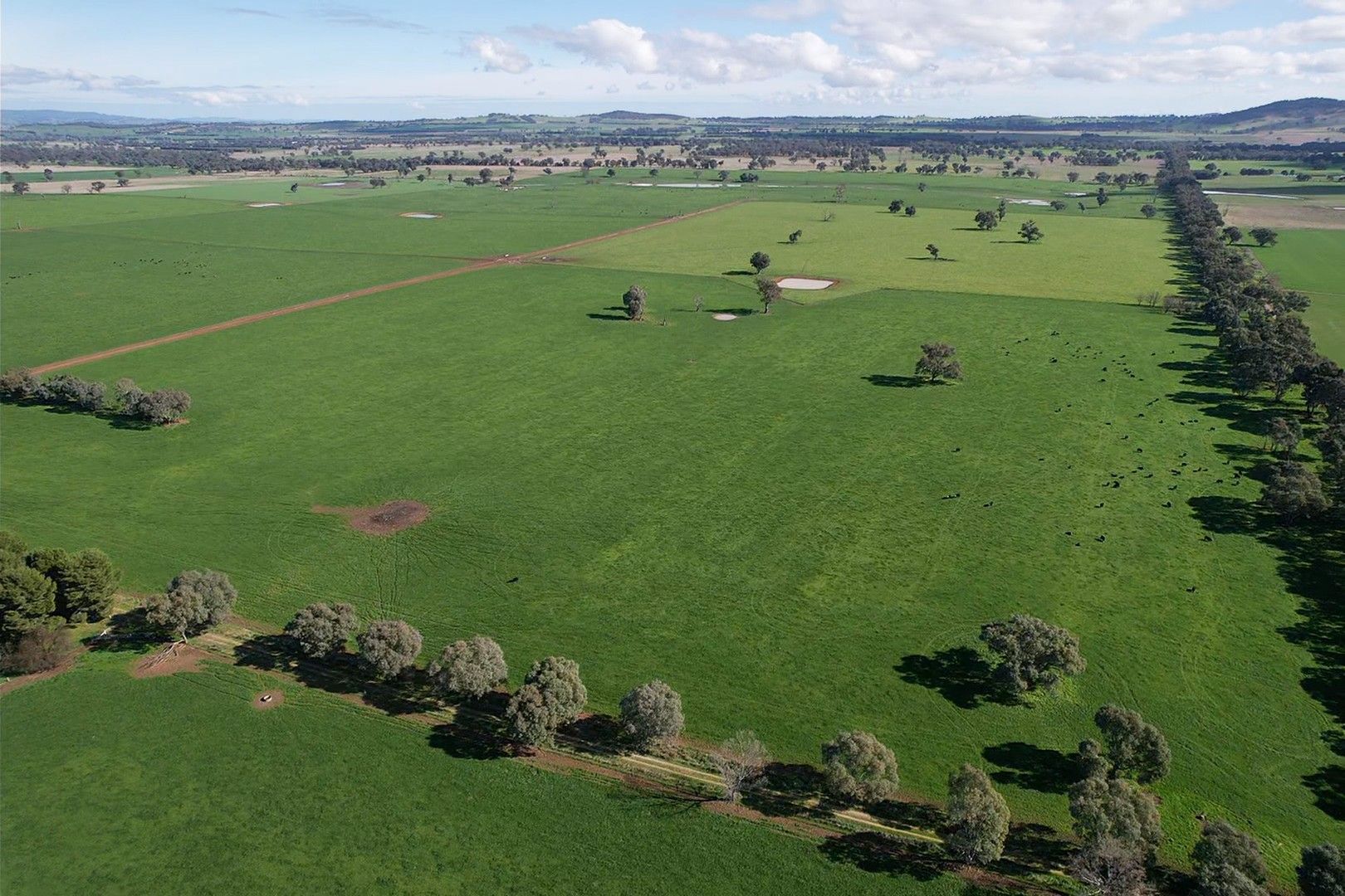 Maybank, Stonehaven Road, Holbrook NSW 2644 House for Sale Domain