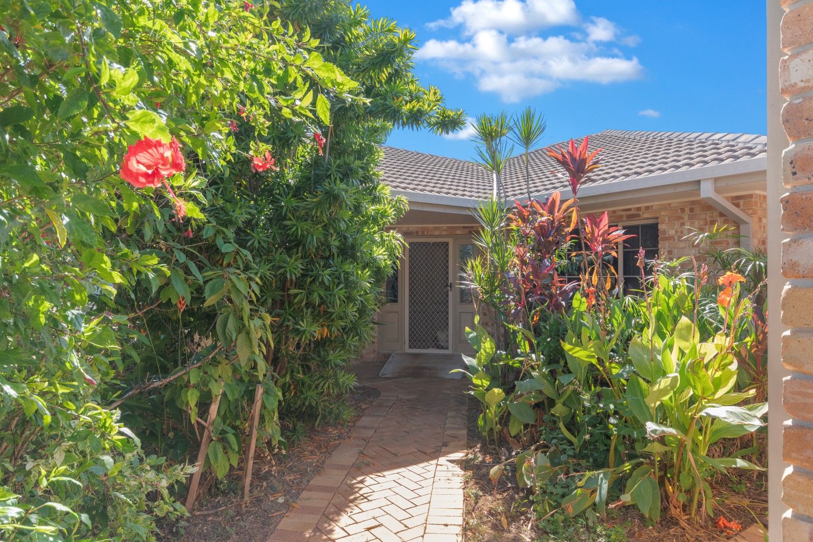 7 Boronia Drive, Annandale QLD 4814, Image 1