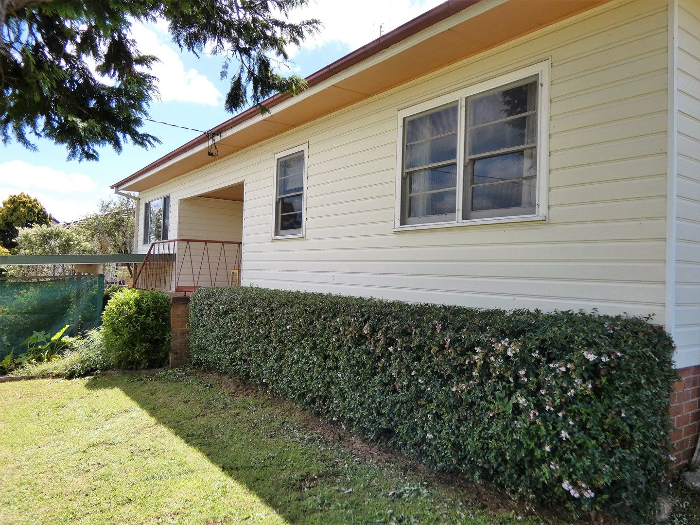 Hickory Street, Dorrigo NSW 2453, Image 0