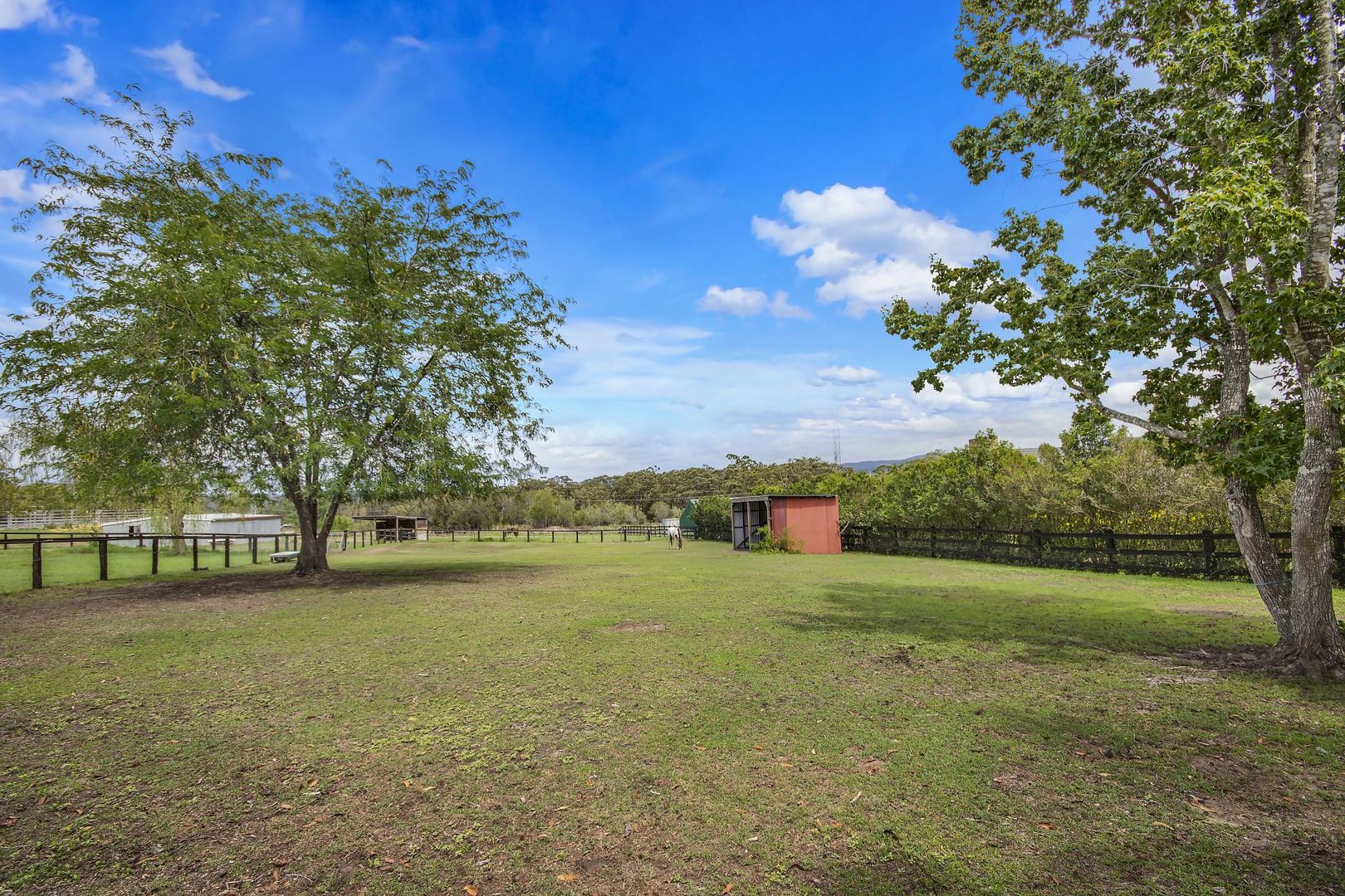 Morisset NSW 2264 House for Sale Domain