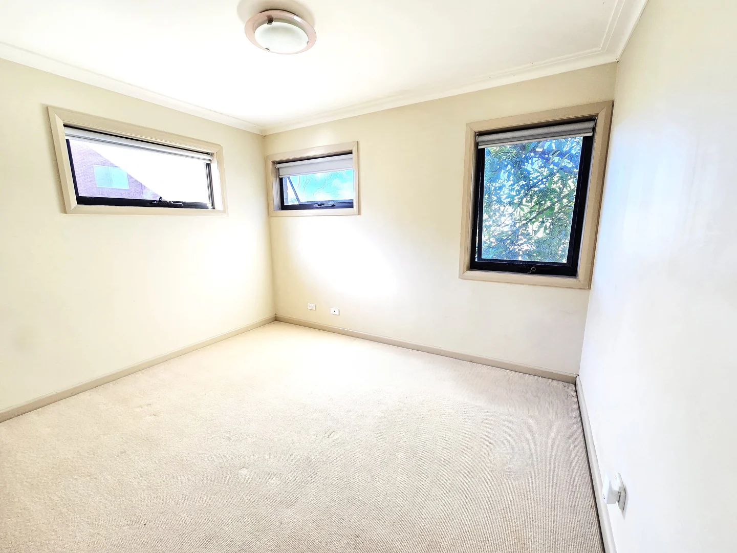 Additional image 7 of 72 Maroubra Road, Maroubra NSW 2035