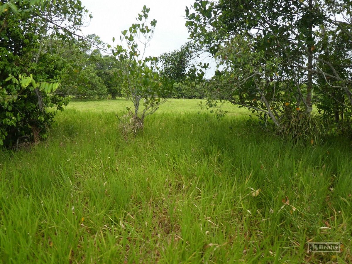 Mena Creek QLD 4871, Image 2