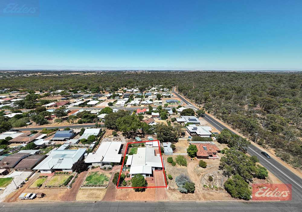 Sold 79 Furnival Street, Narrogin WA 6312 on 08 Mar 2023 2018347679
