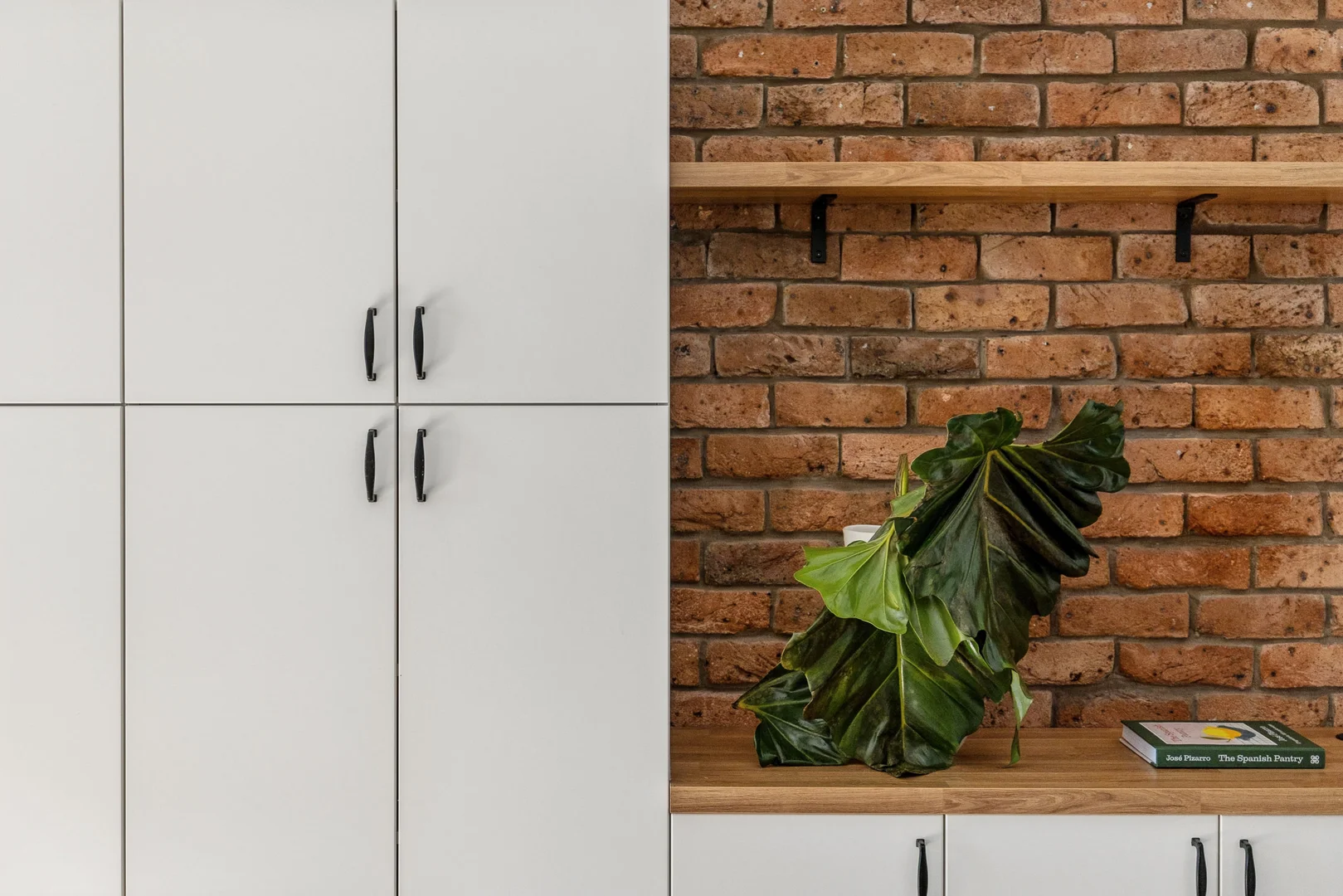 Additional image 8 of 58 Edward Street, Darlington NSW 2008