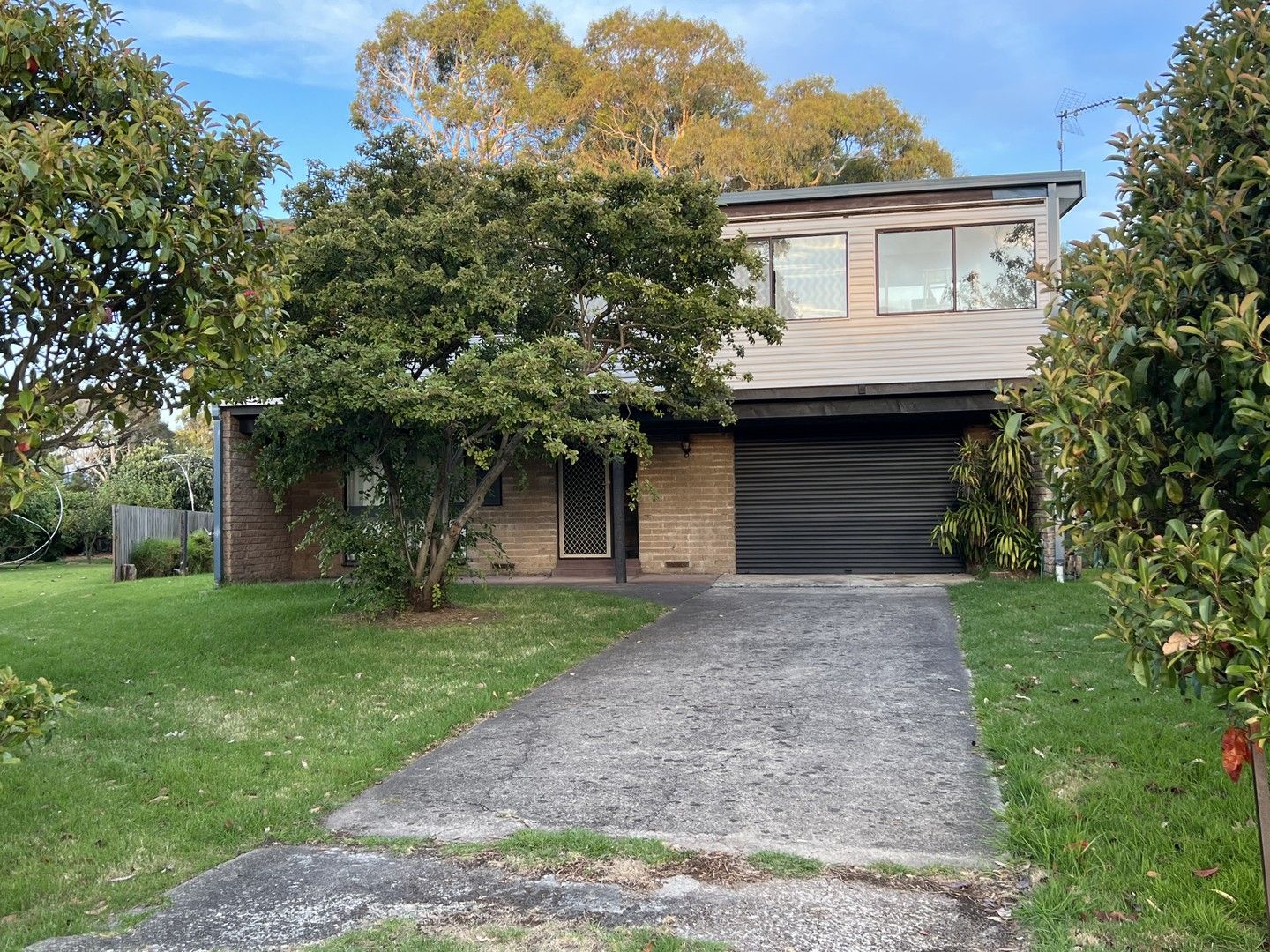 33 Prescott Avenue, Safety Beach VIC 3936 House For Rent Domain