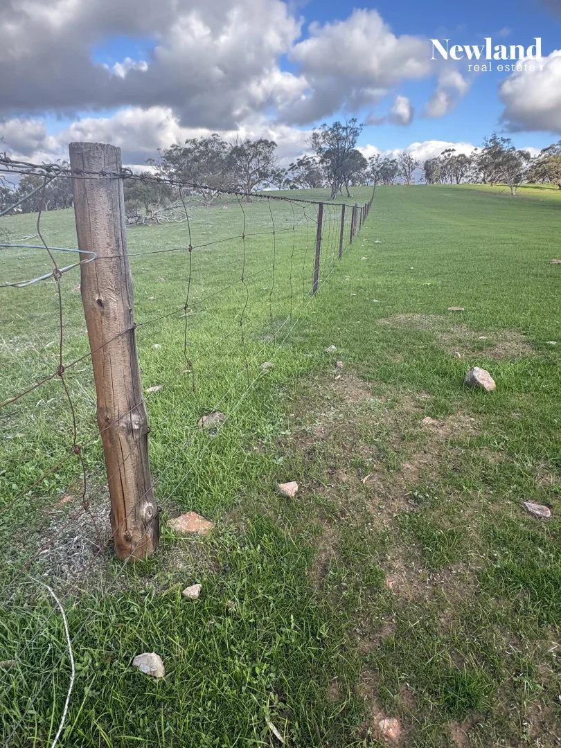 Additional image 9 of Lot 556 Kelly Road, Undalya SA 5451