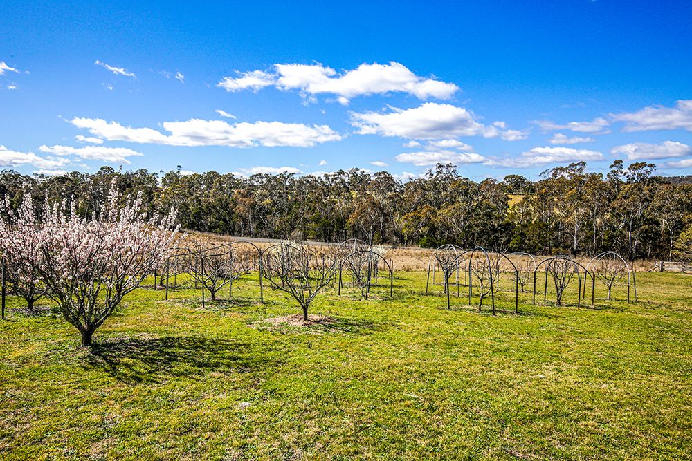 4873 Oallen Ford Road, Bungonia NSW 2580, Image 2