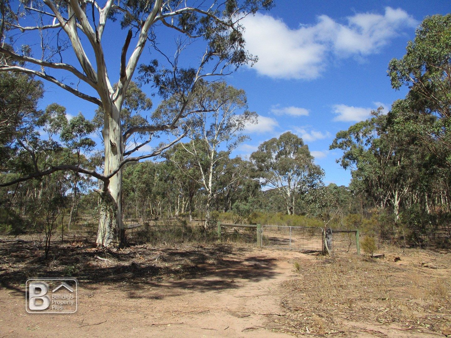 Lot 17 Bradford Road, Lockwood South VIC 3551, Image 0