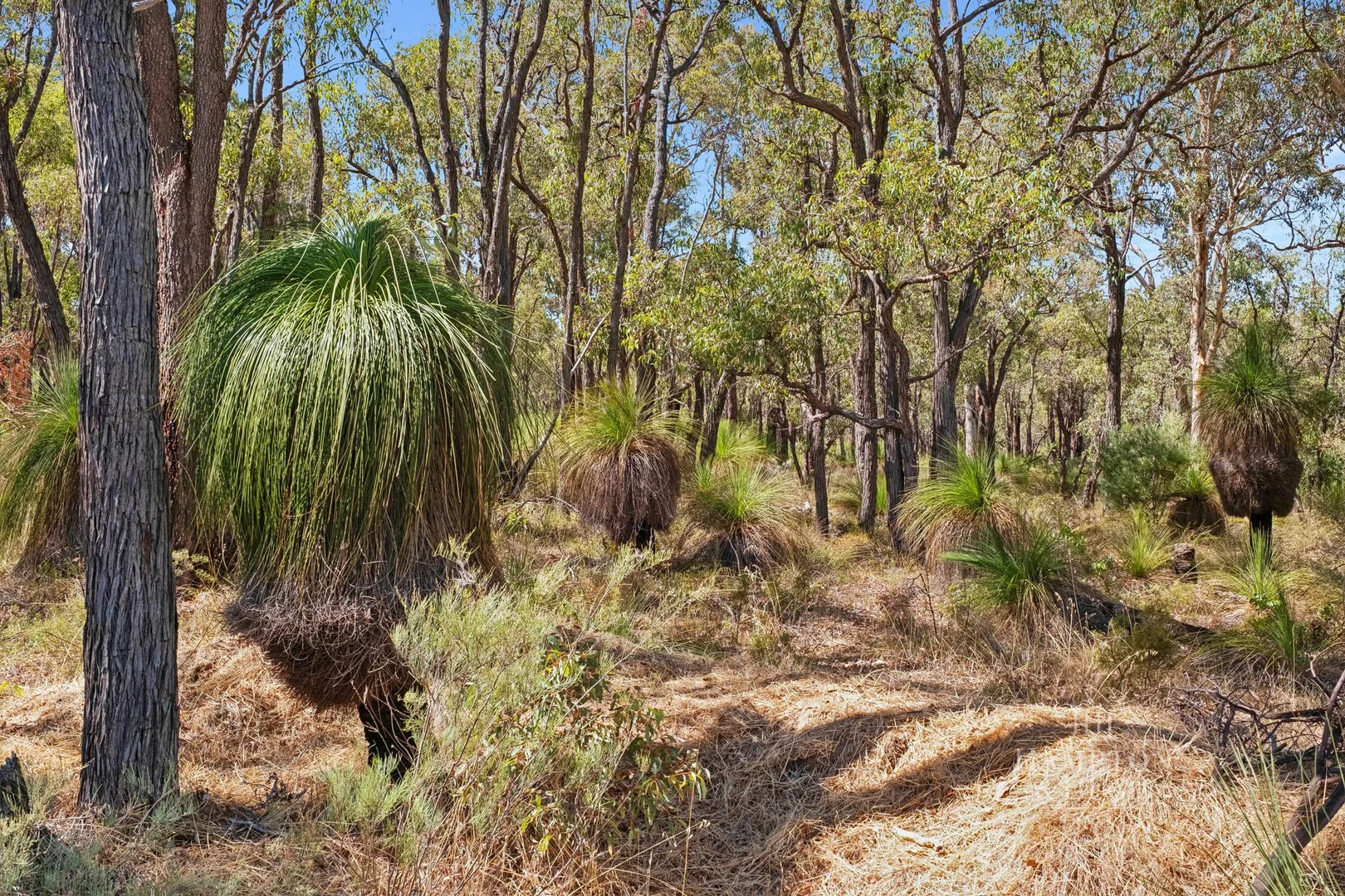 Additional image 28 of 2030 Forge Drive, Chidlow WA 6556