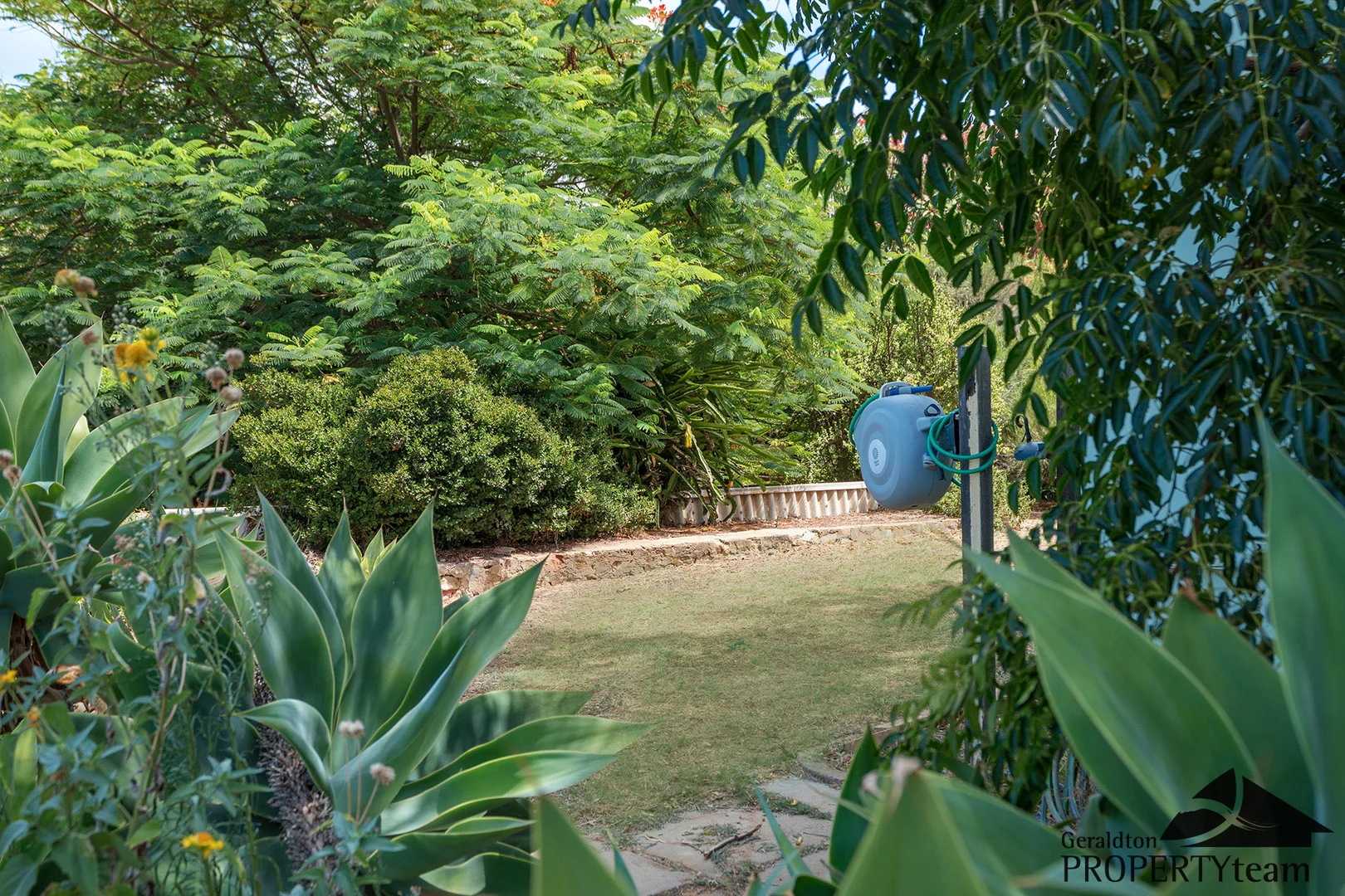 Image 25