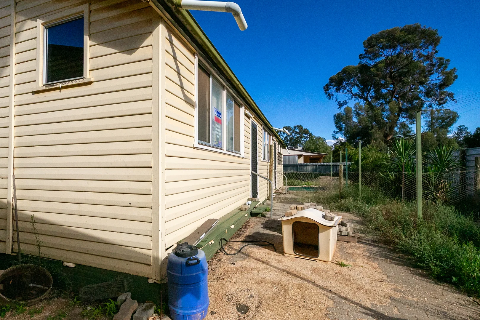 Image 12