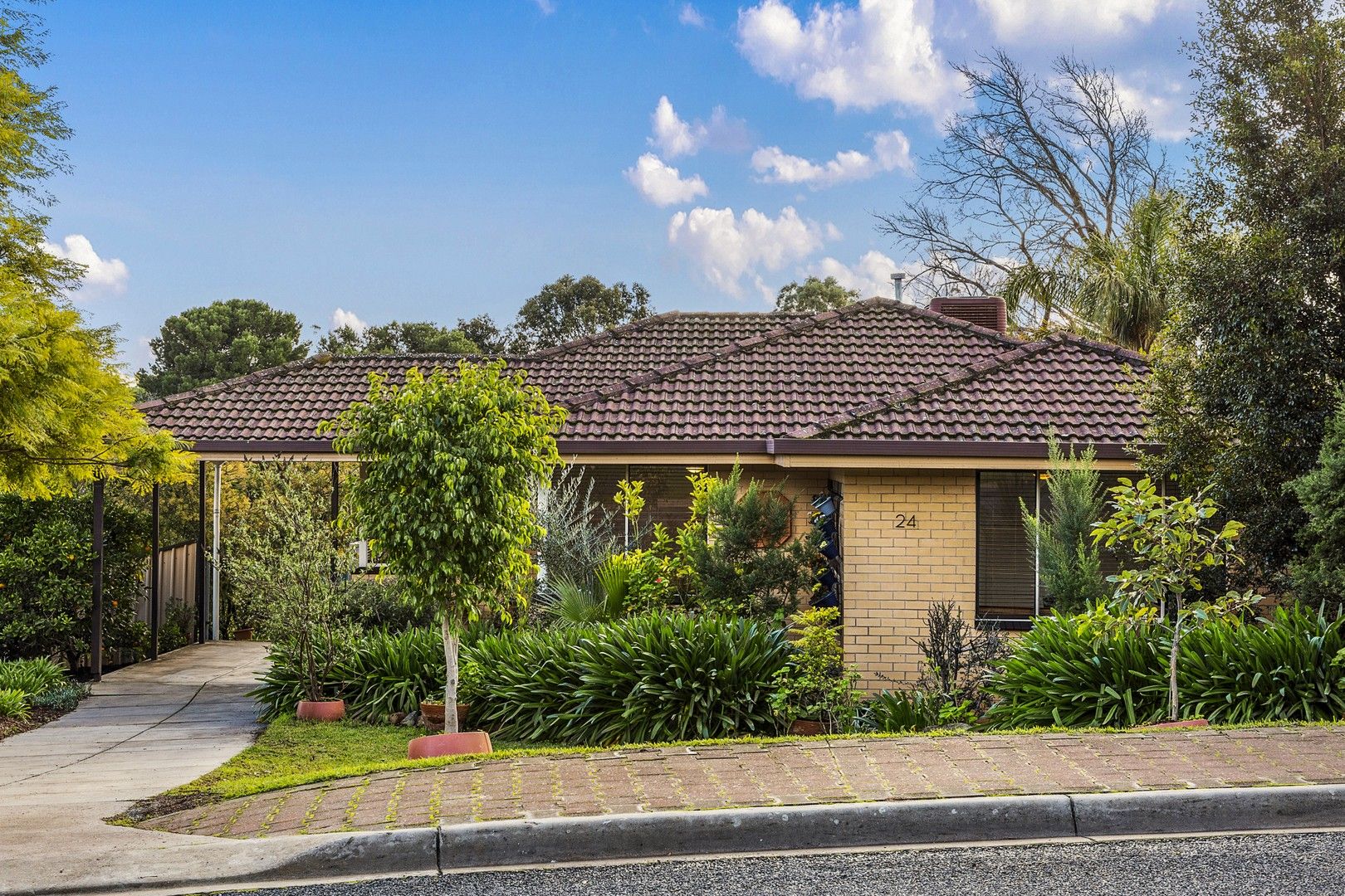 24 Park Valley Drive, Highbury SA 5089, Image 0