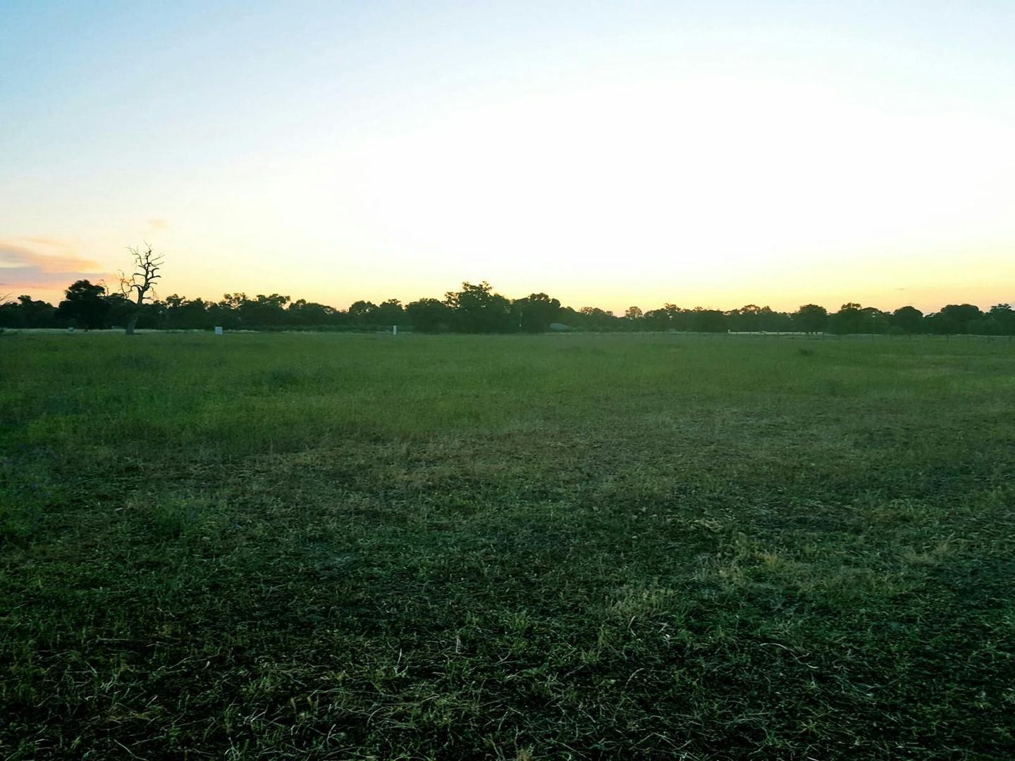 lot 7 Riverina Highway, Howlong NSW 2643, Image 1