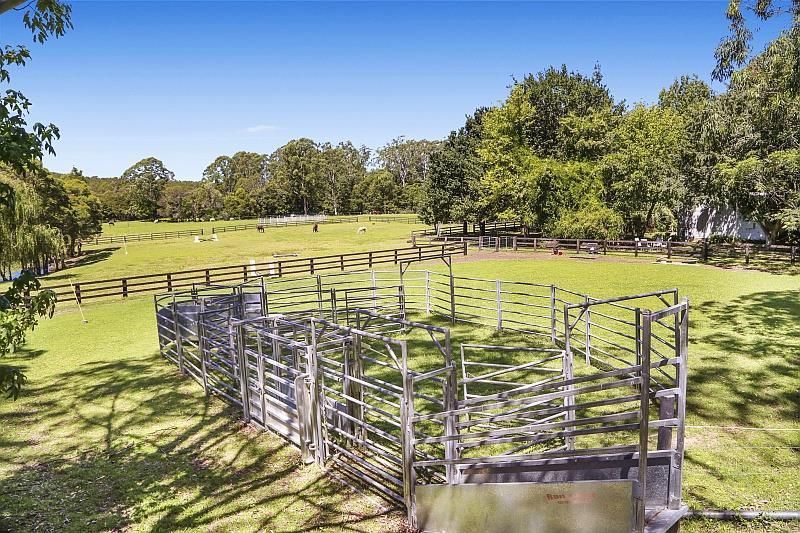 1559 Mandalong Road, Dooralong NSW 2259, Image 1