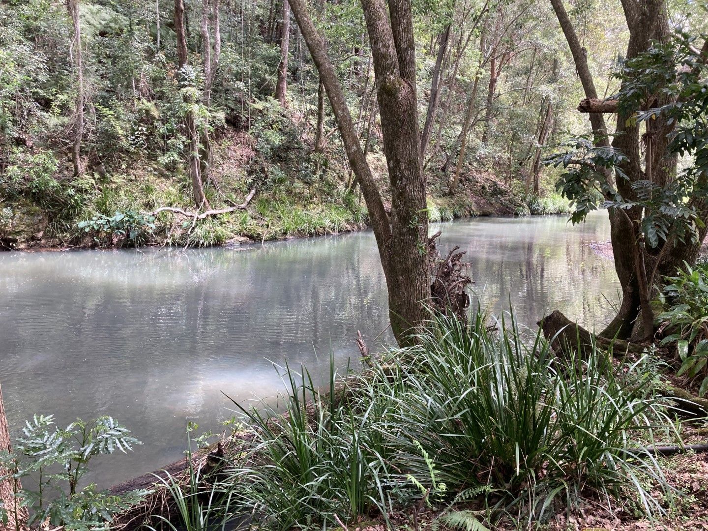 Vacant land in , CHILLINGHAM NSW, 2484