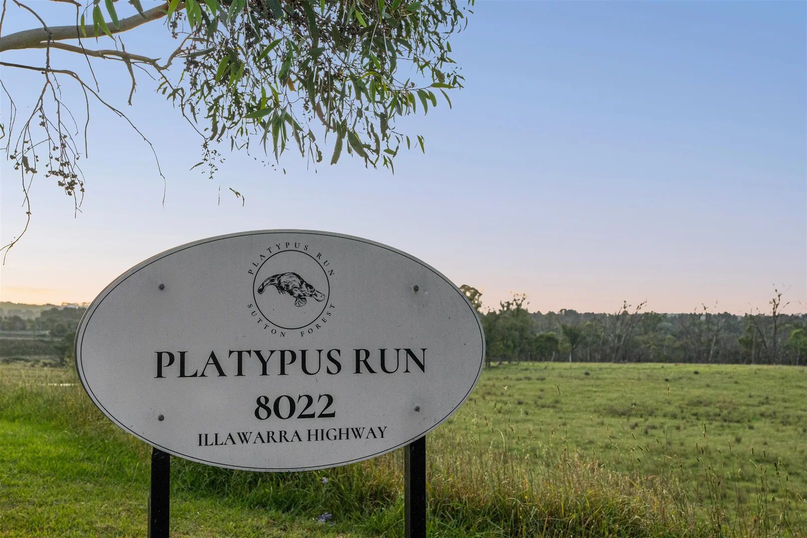 Additional image 48 of 8022 Illawarra Highway, Sutton Forest NSW 2577