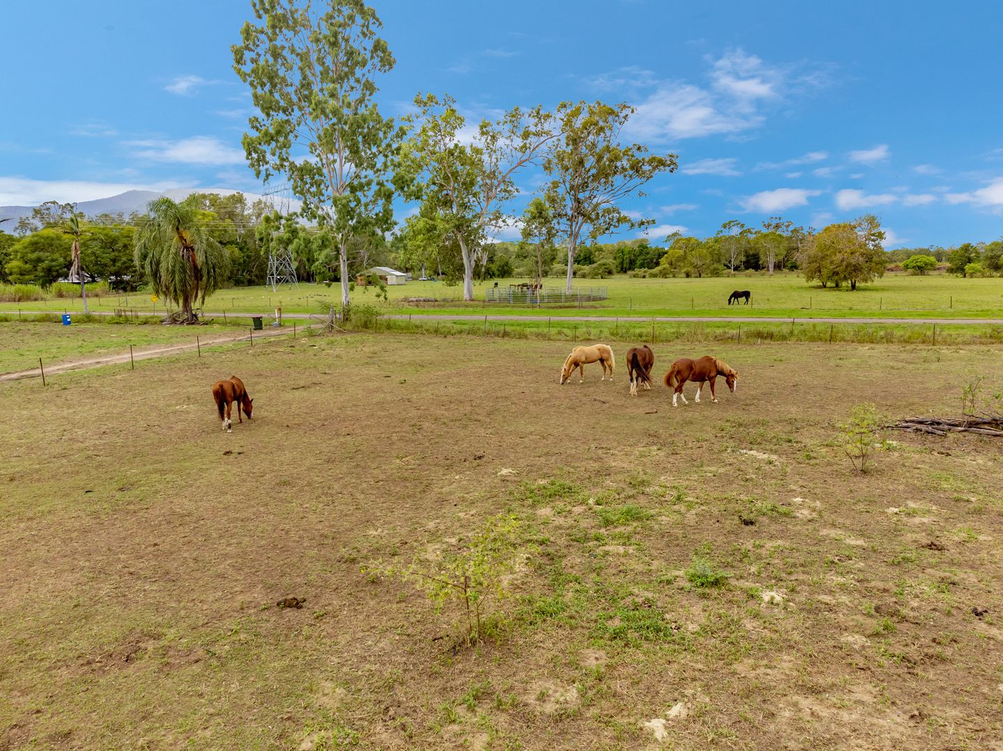178 Quigley Road, Majors Creek QLD 4816 House for Sale Domain