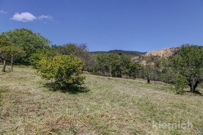 Picture of 13 Gandys Gully Road, STONYFELL SA 5066