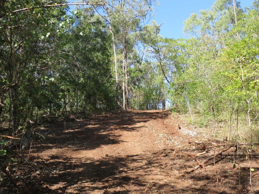 LOT 98 MIDGE POINT ROAD, Bloomsbury QLD 4799, Image 1