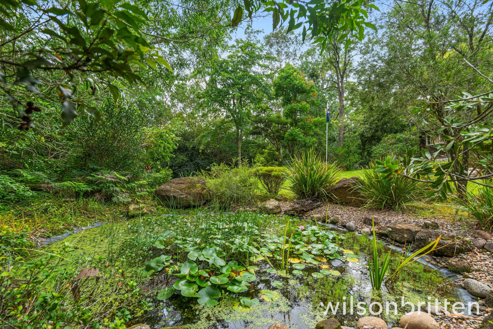 Additional image 28 of 131 Wilkinson Road, Martinsville NSW 2265