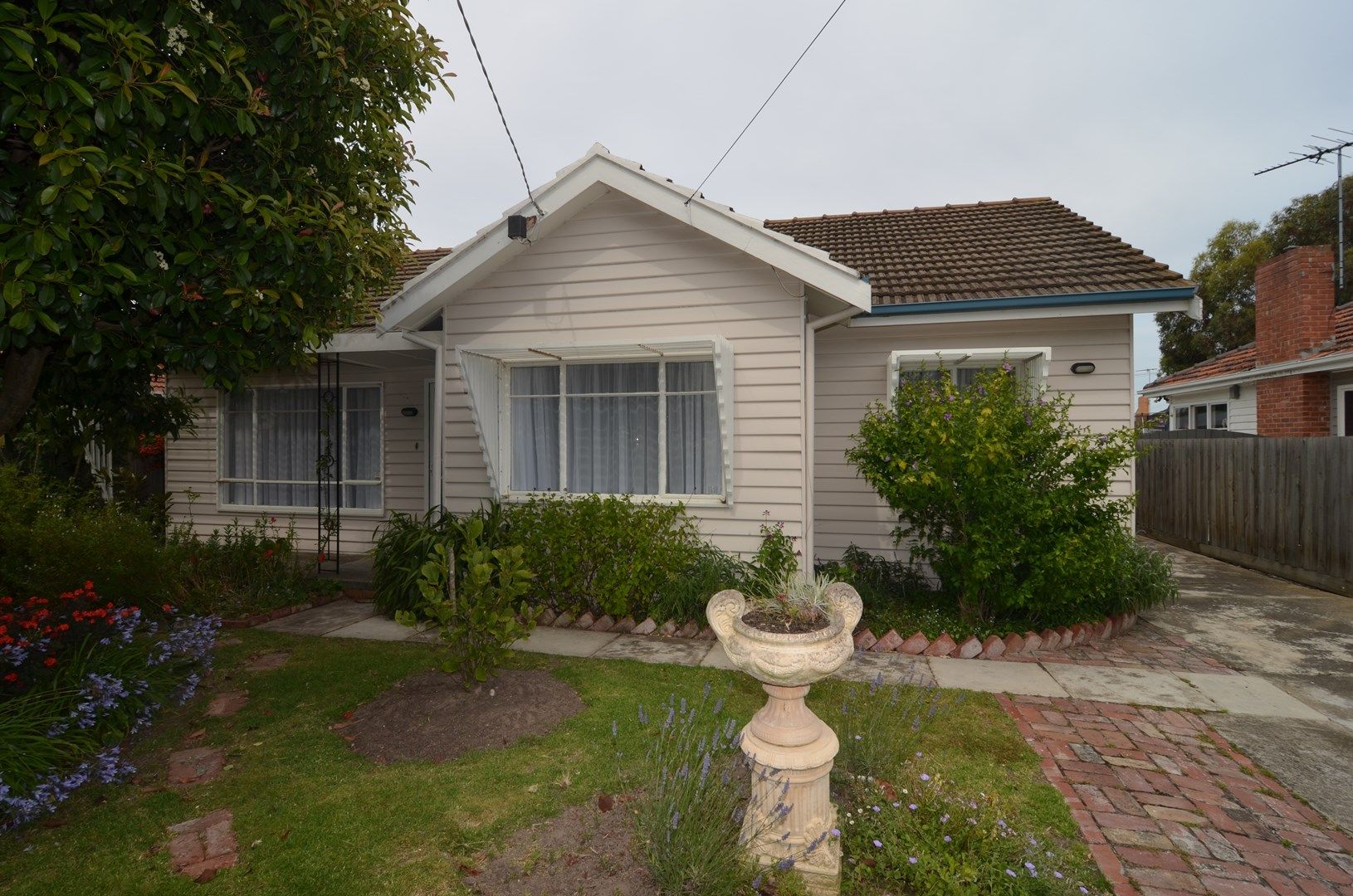 3 bedrooms House in 11 Little Avenue HAMLYN HEIGHTS VIC, 3215