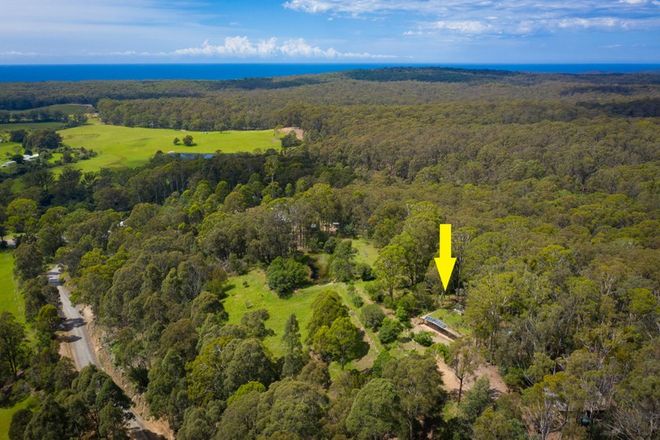 Picture of 51 Doctor George Mountain Road, TANJA NSW 2550