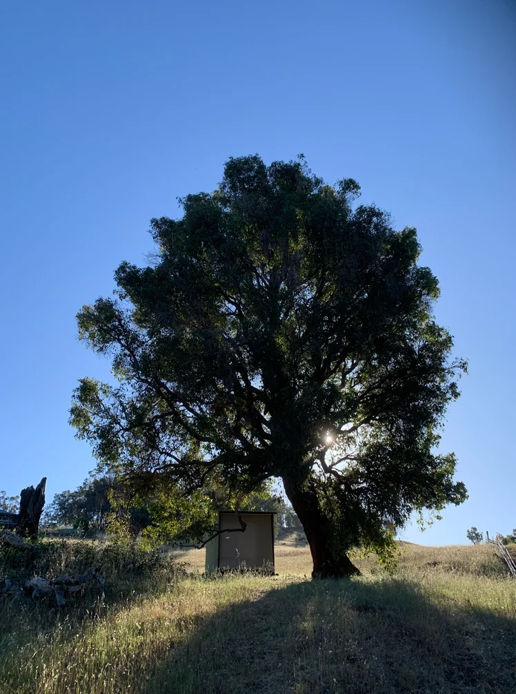 Image 10
