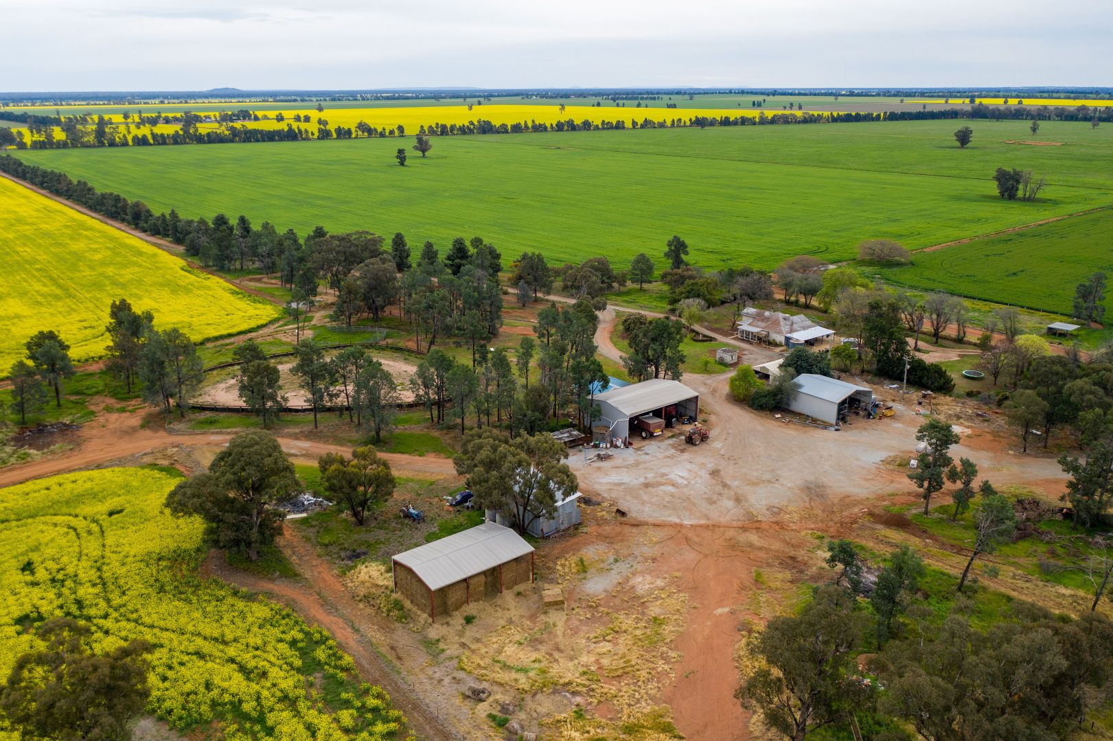 208 Roping Pole Road, Ganmain NSW 2702, Image 1