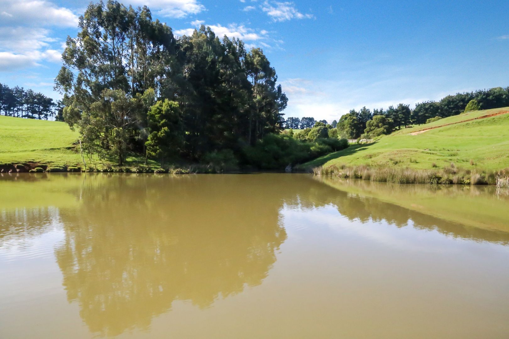 213 Mirboo Road, Mirboo VIC 3871 House for Sale Domain