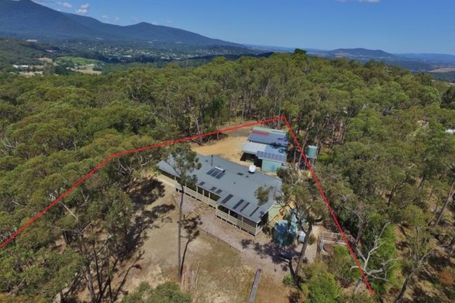 Picture of 177 Lowes Road, CHUM CREEK VIC 3777