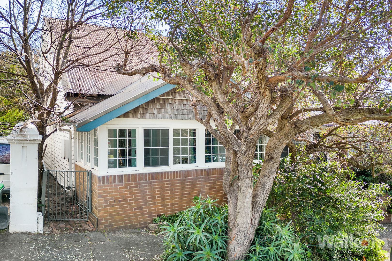 10 The Terrace, The Hill NSW 2300, Image 1