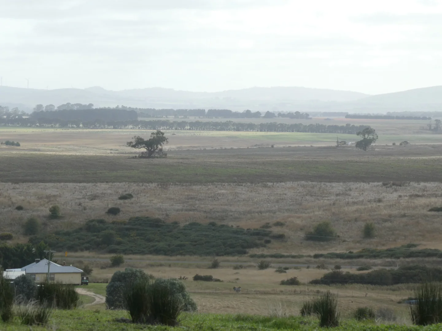 Image 9