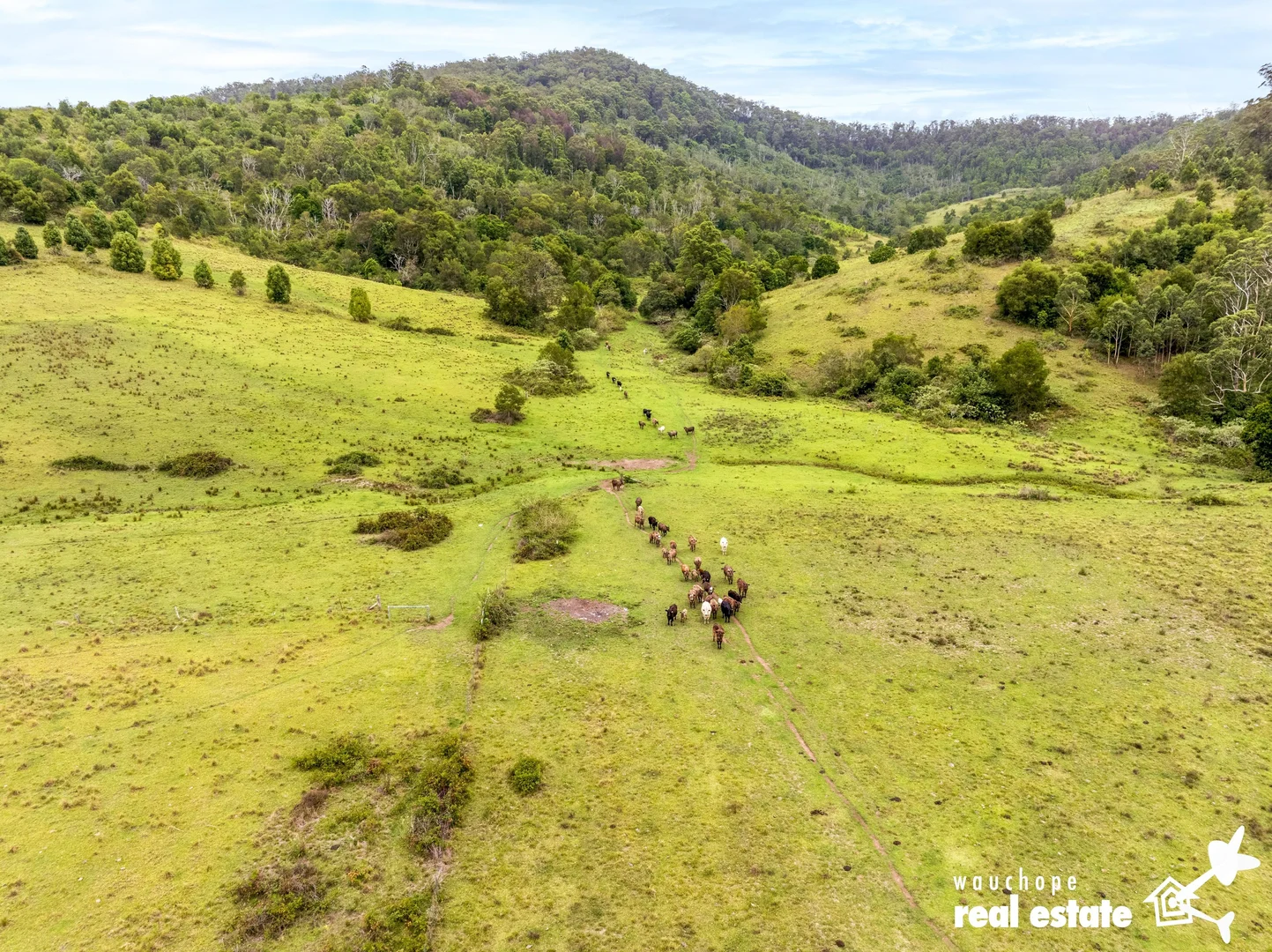 Additional image 29 of 1024 Pappinbarra Road, Pappinbarra NSW 2446