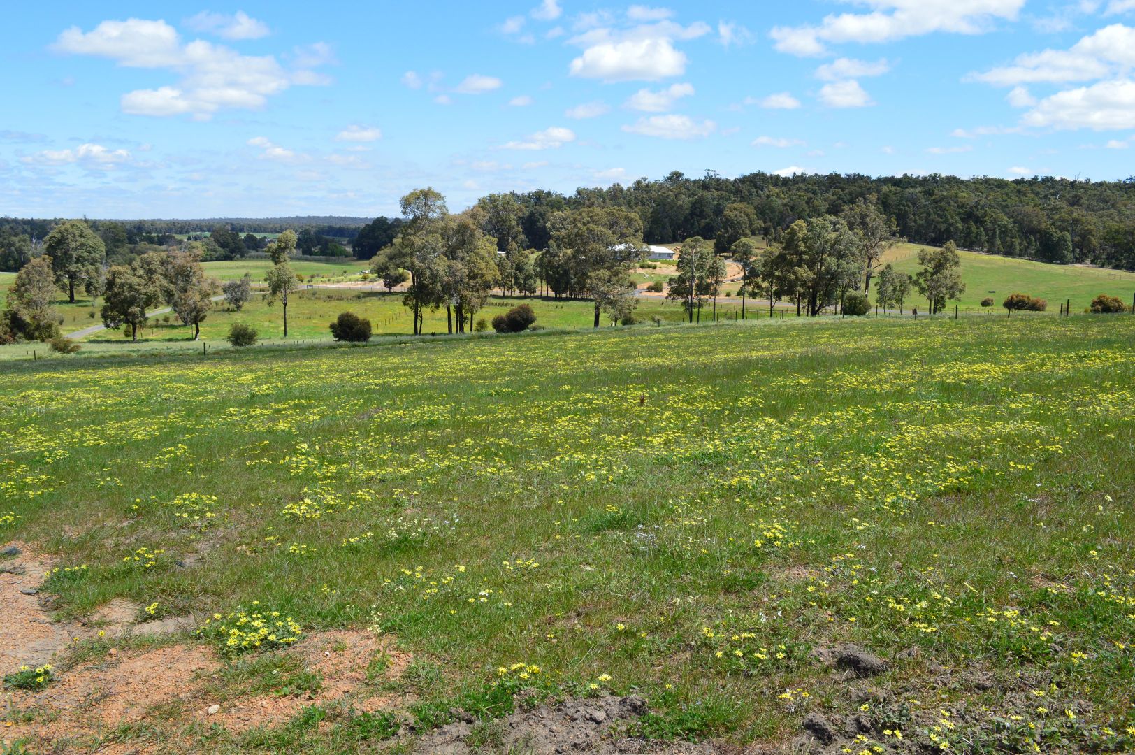 Lot 3319 Scaffidi Place, Donnybrook WA 6239, Image 2