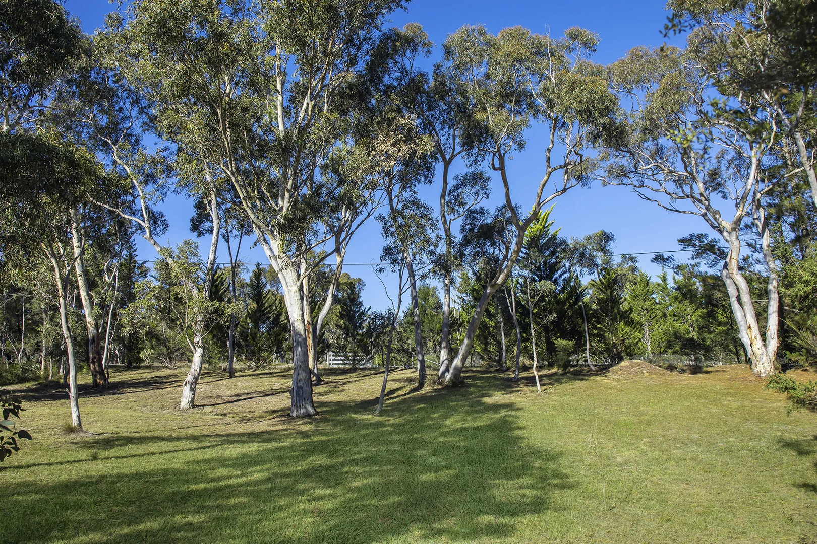 Image 13