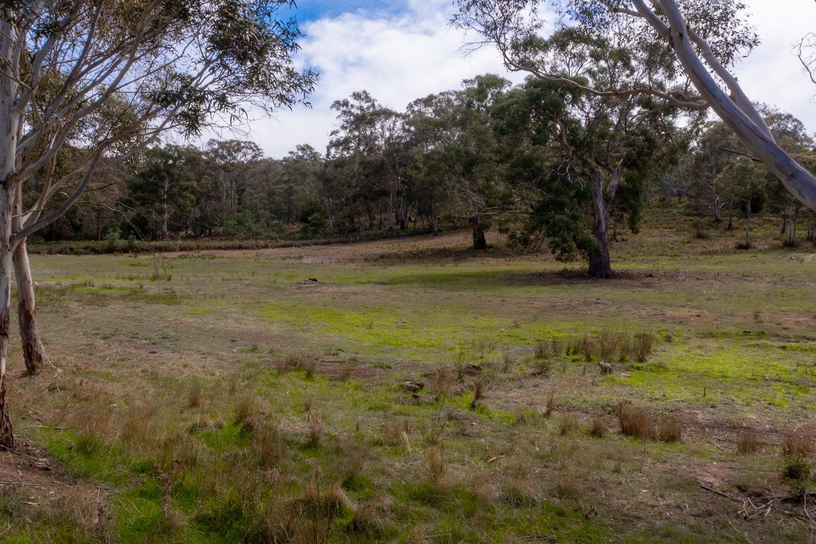 Lot 2/152 Black Hills Road, Magra TAS 7140, Image 0