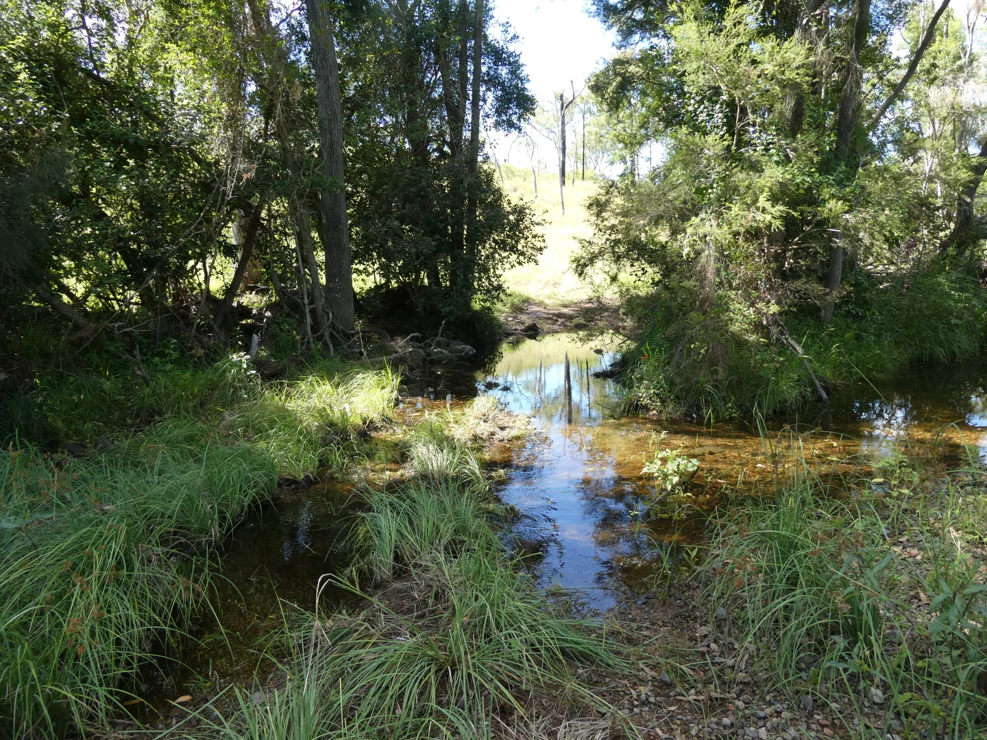 Image 19