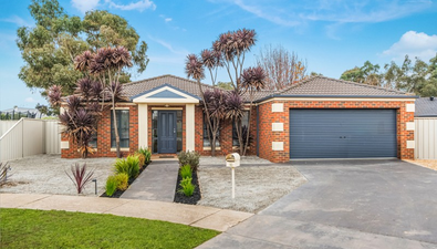 Picture of 10 Alkoomi Court, ASCOT VIC 3551