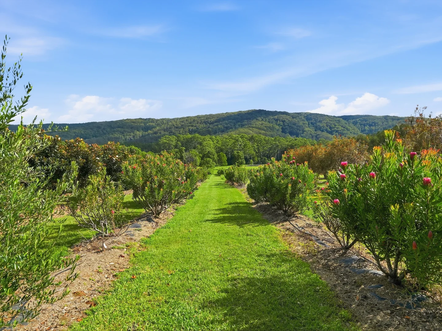 Additional image 26 of 190D McClellands Road, Bucca NSW 2450