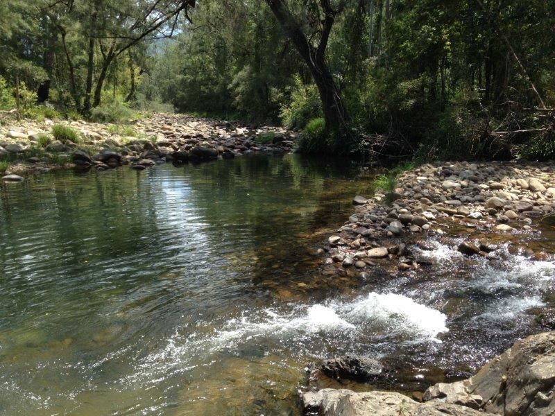 Lot/12 Forbes River Road, Forbes River NSW 2446, Image 0